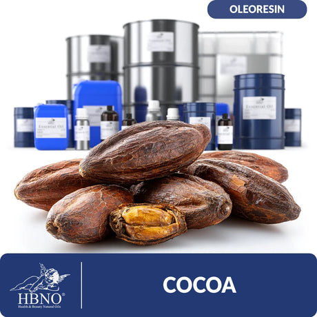 Cocoa Oleoresin