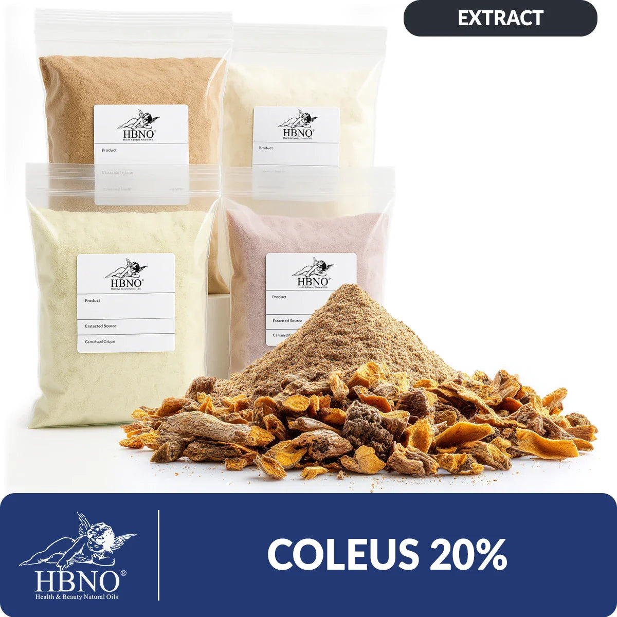 Coleus Extract (20%)