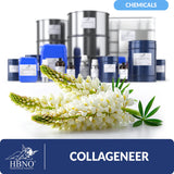 Collageneer