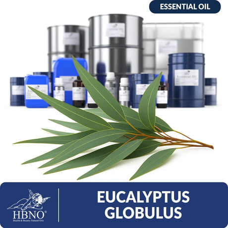 Eucalyptus Globulus Essential Oil Fair Trade