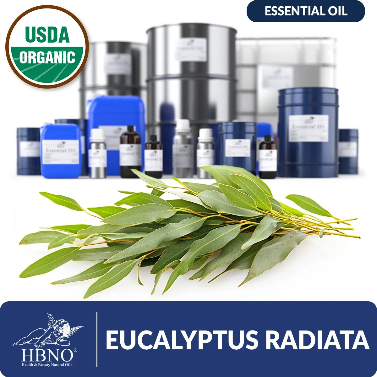 Eucalyptus Radiata Essential Oil (Organic)