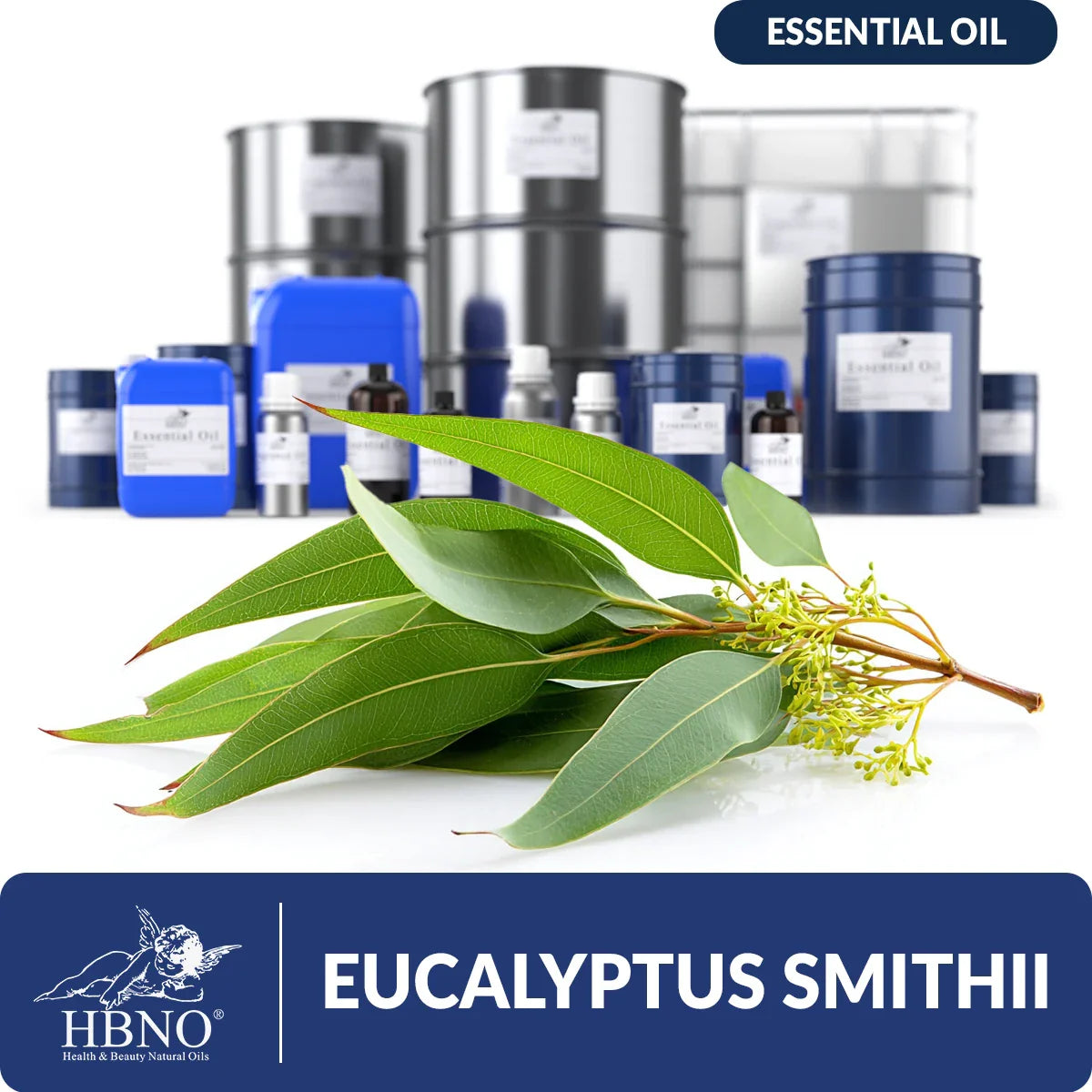 Eucalyptus Smithii Essential Oil