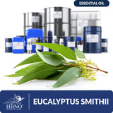 Eucalyptus Smithii Essential Oil