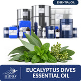 Eucalyptus Dives Essential Oil