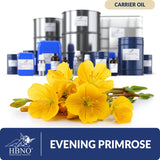 Evening Primrose Carrier Oil