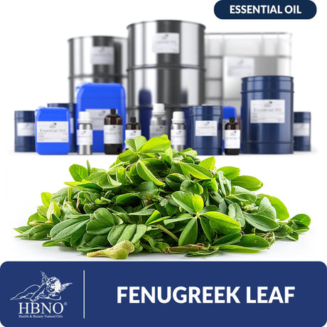Fenugreek Leaf Essential Oil