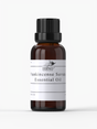 Buy Frankincense Serrata Essential Oil Organic