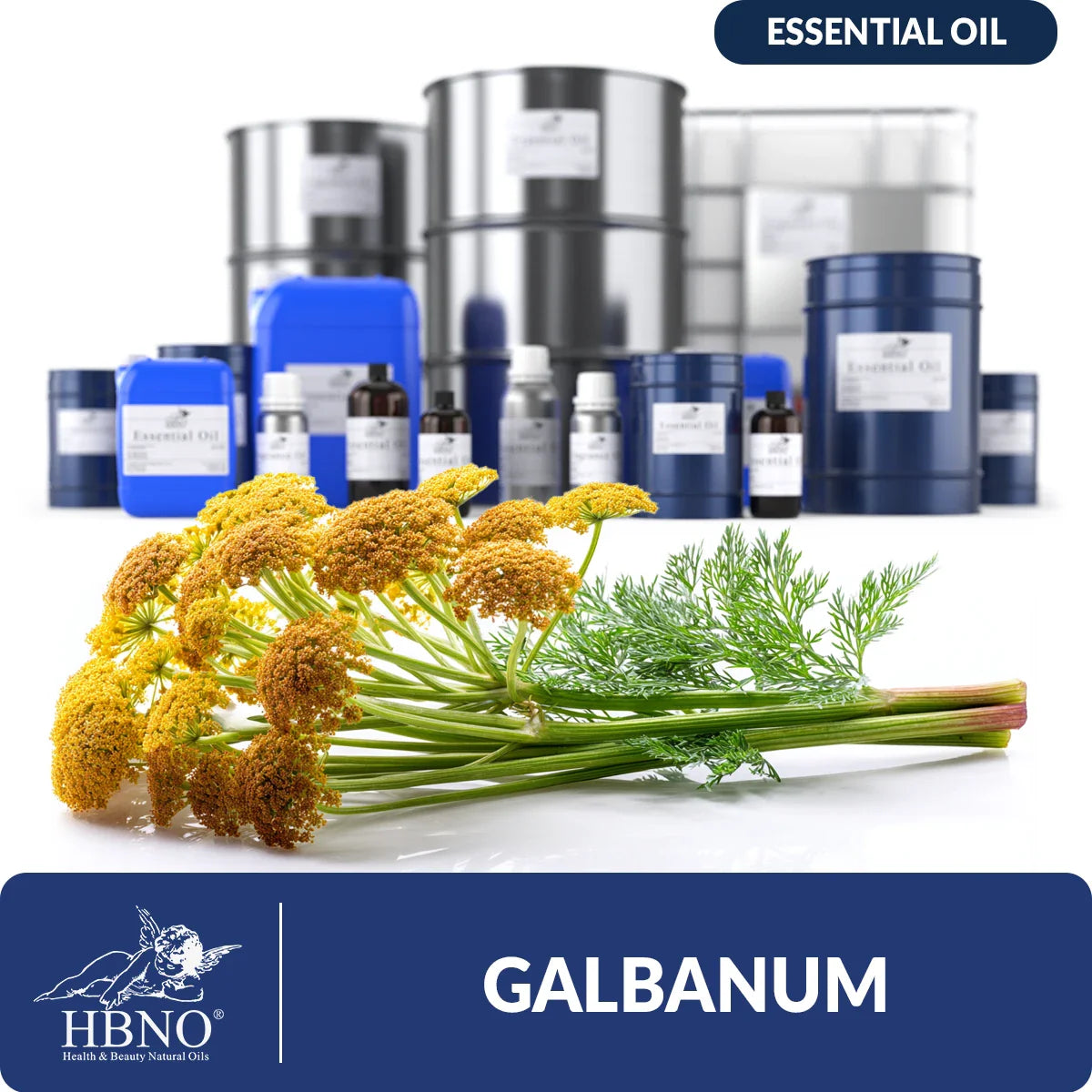 Galbanum Essential Oil
