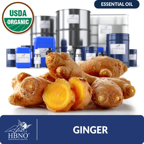 Organic Ginger Essential Oil