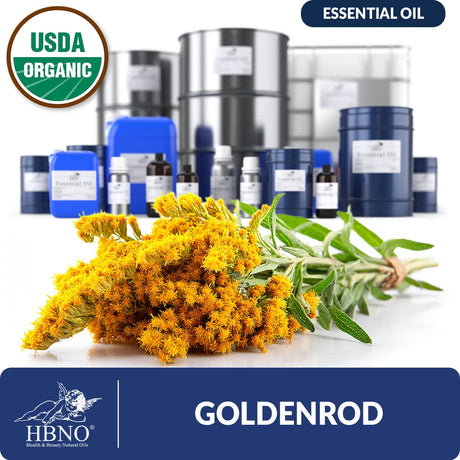 Organic Goldenrod Essential Oil
