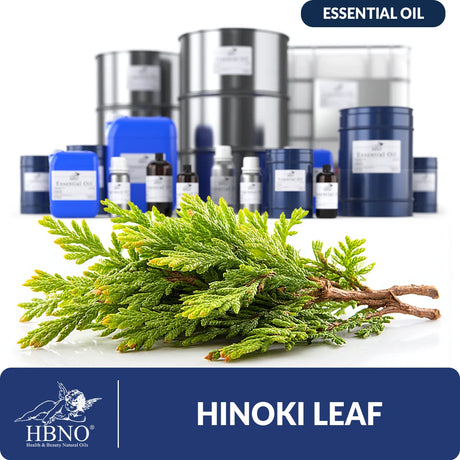 Hinoki Leaf Essential Oil