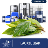 Laurel Leaf Essential Oil