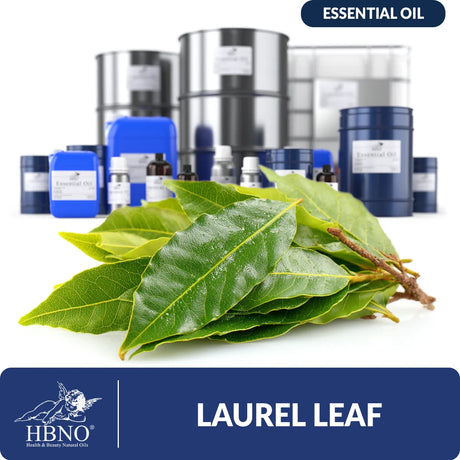Laurel Leaf Essential Oil