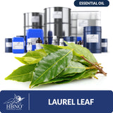 Laurel Leaf Essential Oil