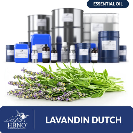 Lavandin Dutch Lavender Essential Oil