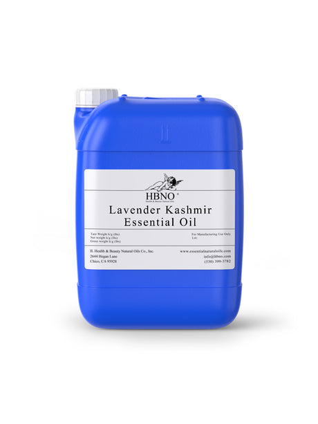 Lavender Kashmir Essential Oil 4 KG (8.8 LB)
