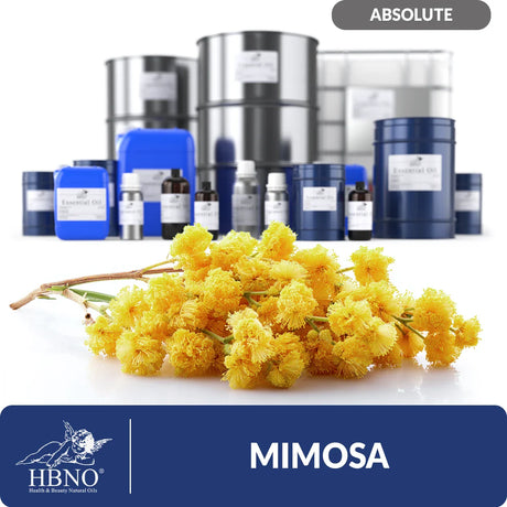 Mimosa Absolute