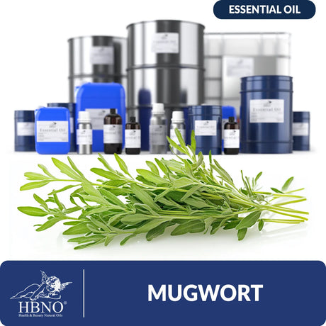 Mugwort Essential Oil