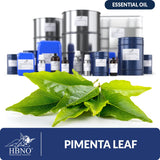 Pimenta Leaf Essential Oil