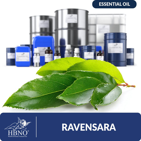 Ravensara Essential Oil