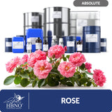 Rose Absolute