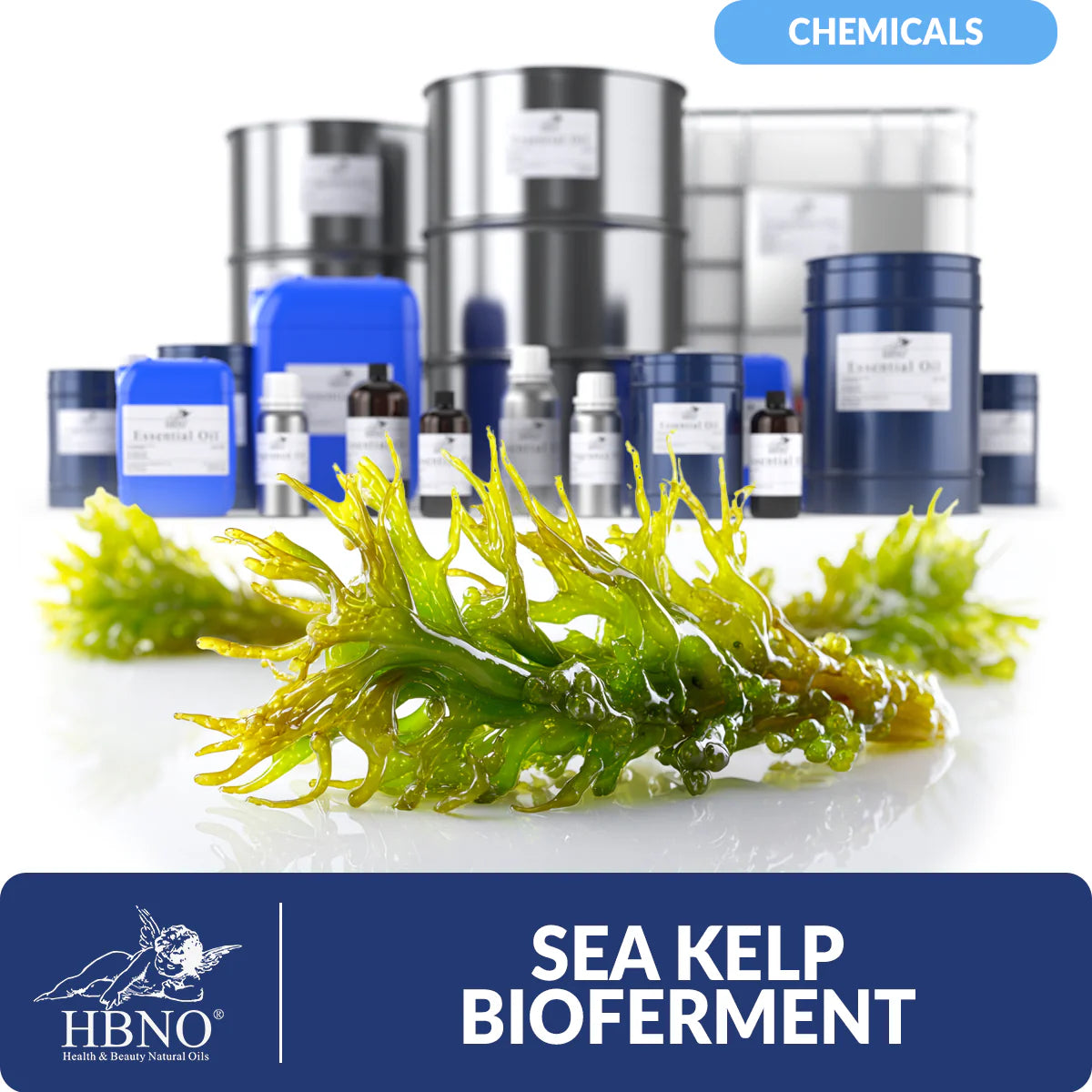 Sea kelp bioferment