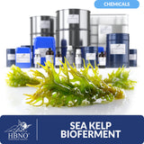 Sea kelp bioferment