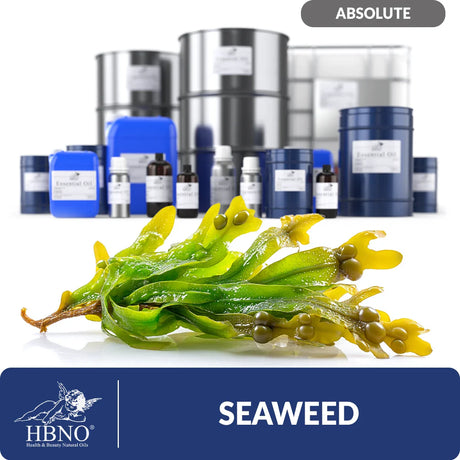 Seaweed Absolute