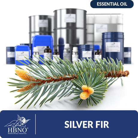 Silver Fir Essential Oil