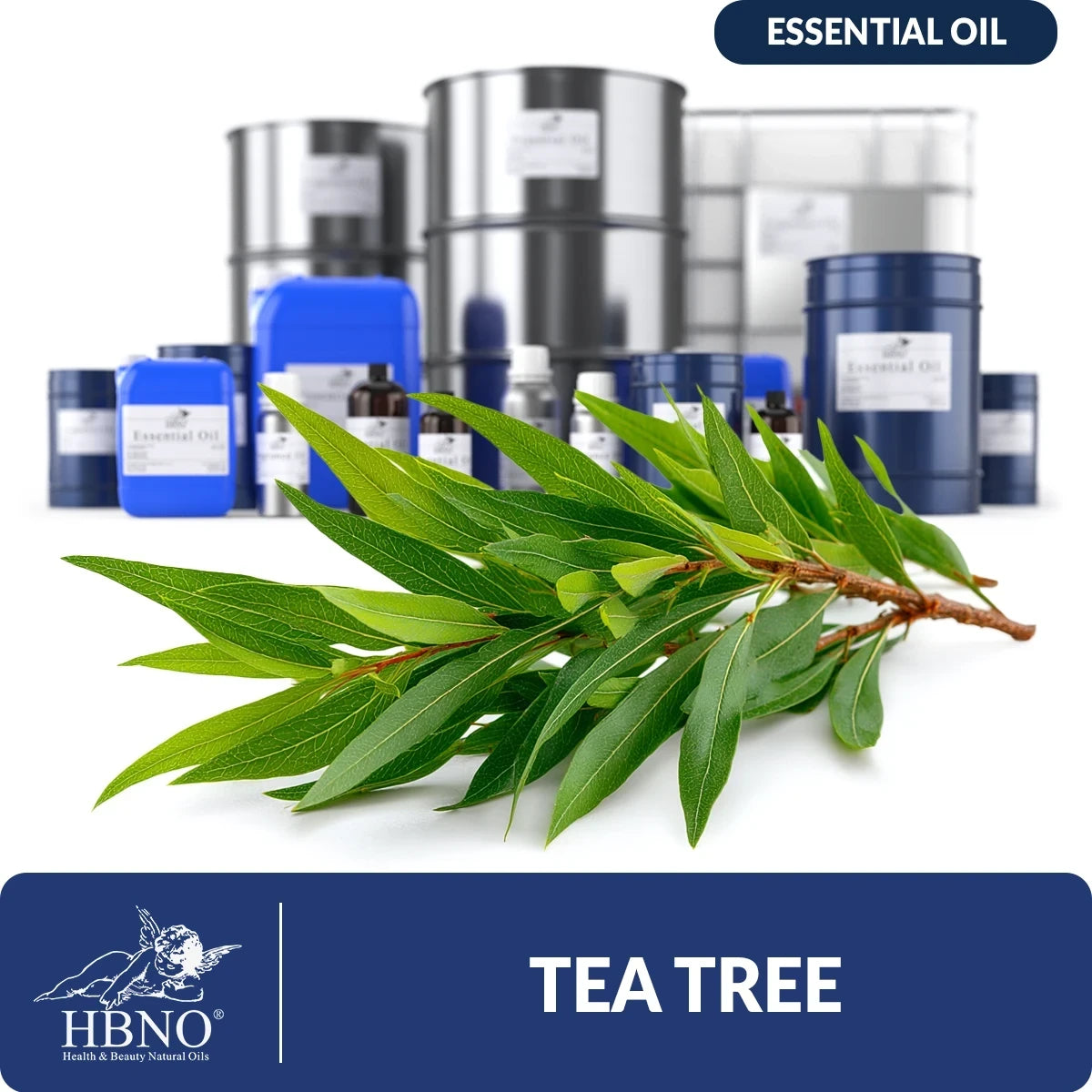 Tea Tree Essential Oil (Fair Trade)
