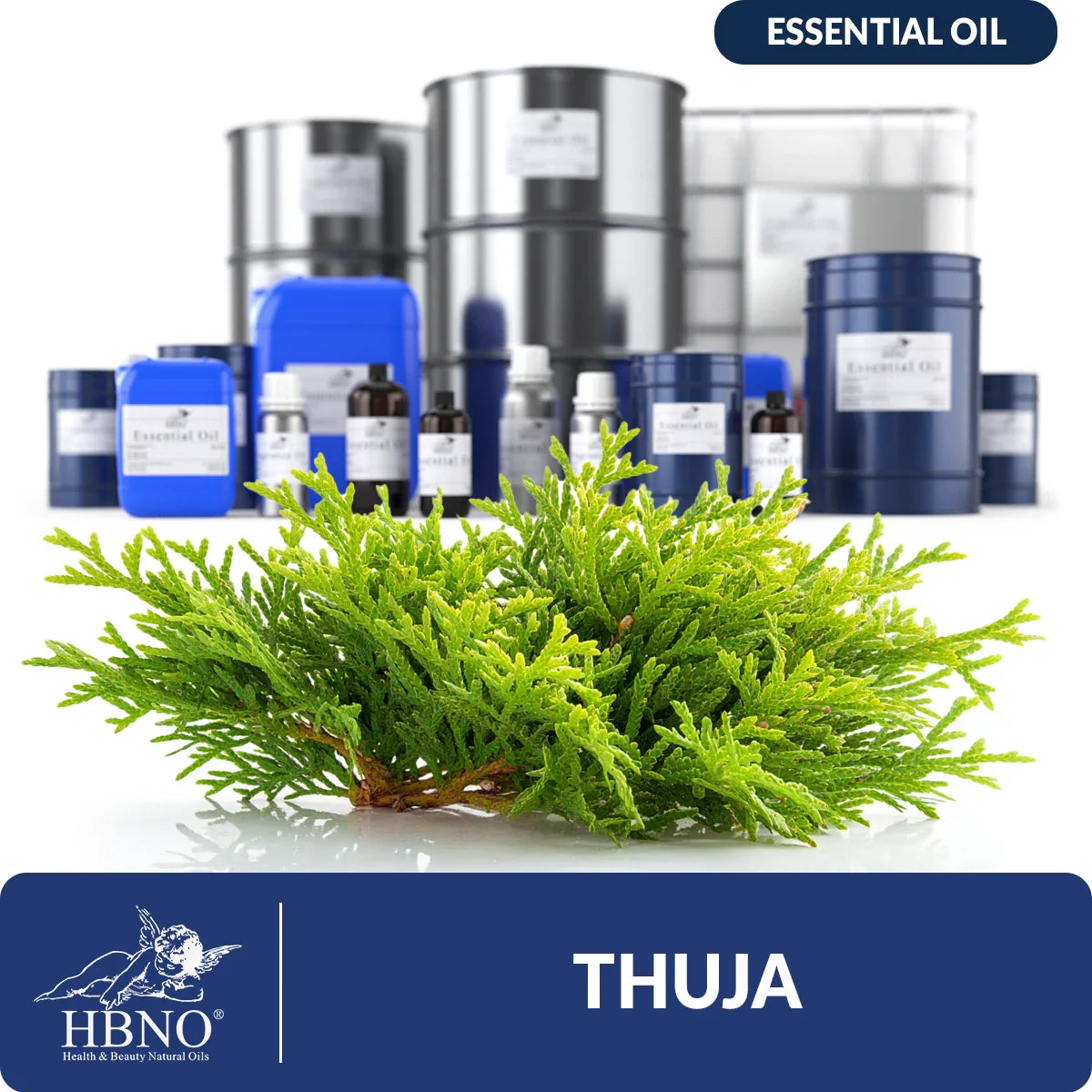Thuja Essential Oil