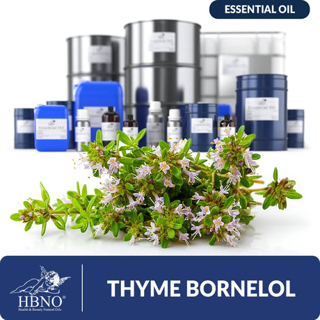 Thyme Bornelol Essential Oil