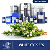 White Cypress Essential Oil