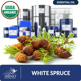 Organic White Spruce Essential Oil