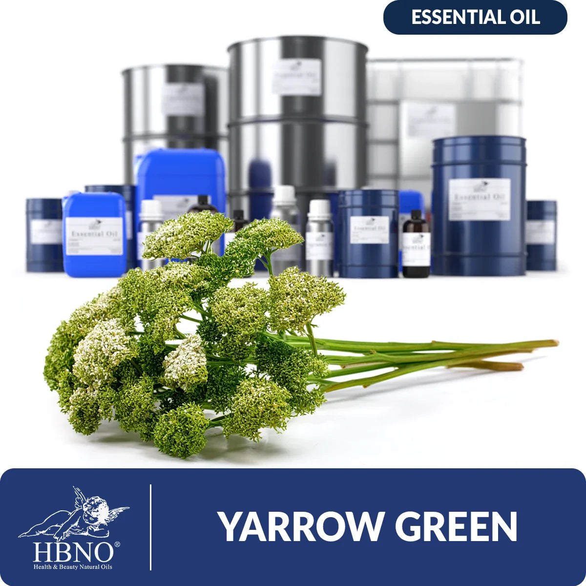 Yarrow Green Essential Oil