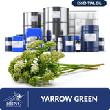 Yarrow Green Essential Oil