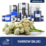 Blue Yarrow Essential Oil